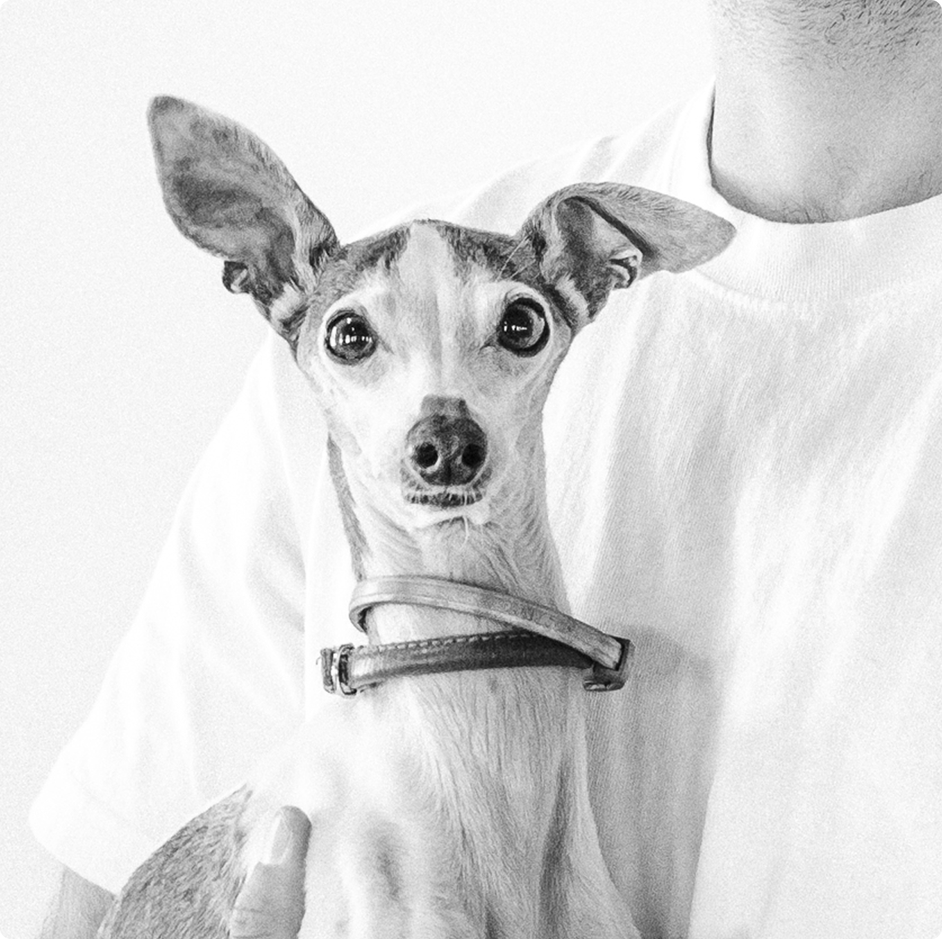 We keep our hiring process straightforward and respectful of your time.

After you apply, our team will review your work and reach out if there’s a potential fit. Qualified candidates can expect:

An initial conversation focused on experience, taste, and communication
A portfolio walkthrough or practical exercise
A deeper discussion with leadership on how you approach real-world creative problems

Final steps include alignment on expectations, compensation, and next steps.

We move efficiently, communicate clearly, and aim for a strong mutual fit before making any decisions.